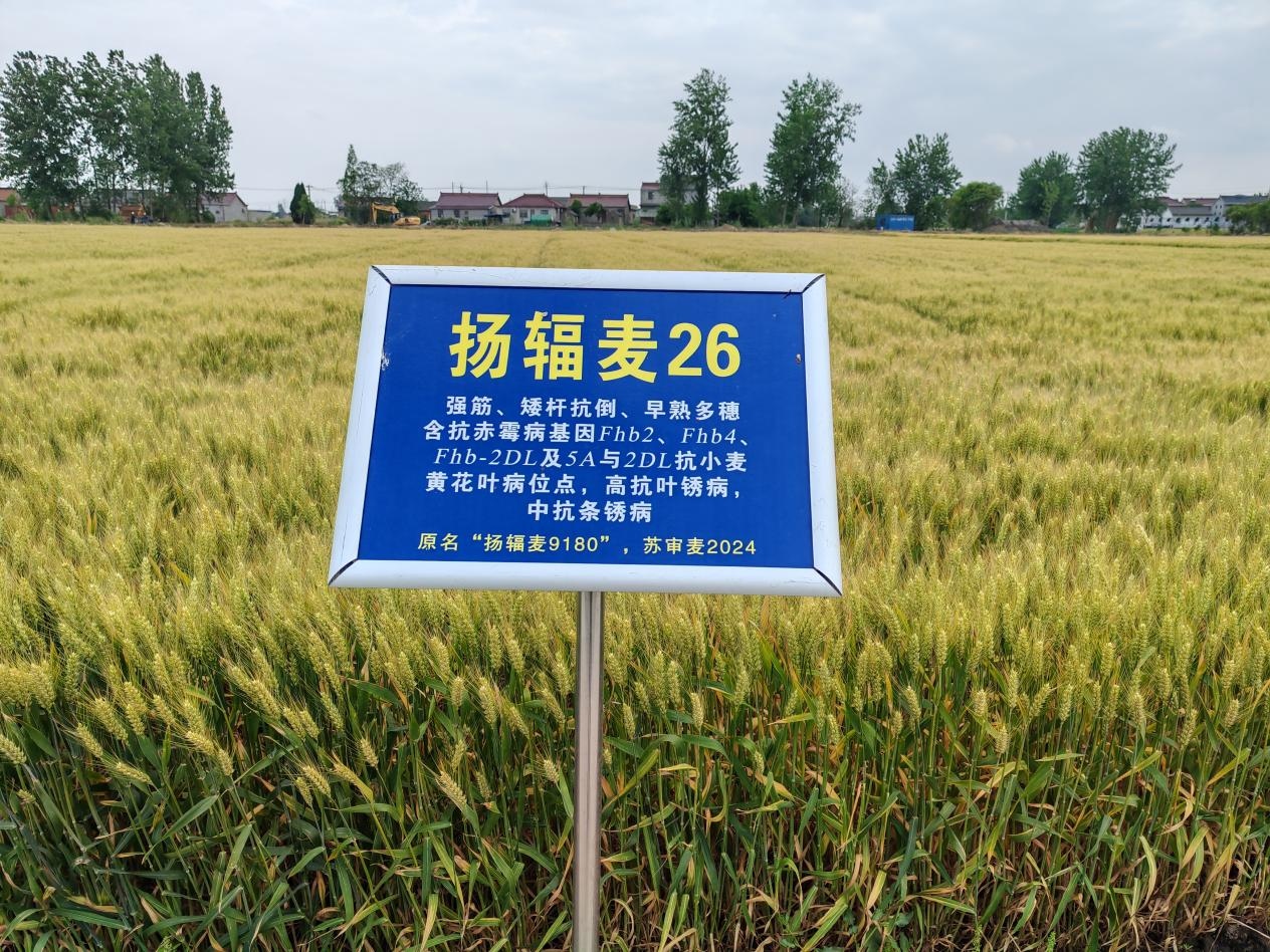 圖片2.jpg